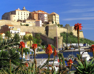 Calvi