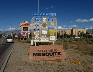 Mesquite