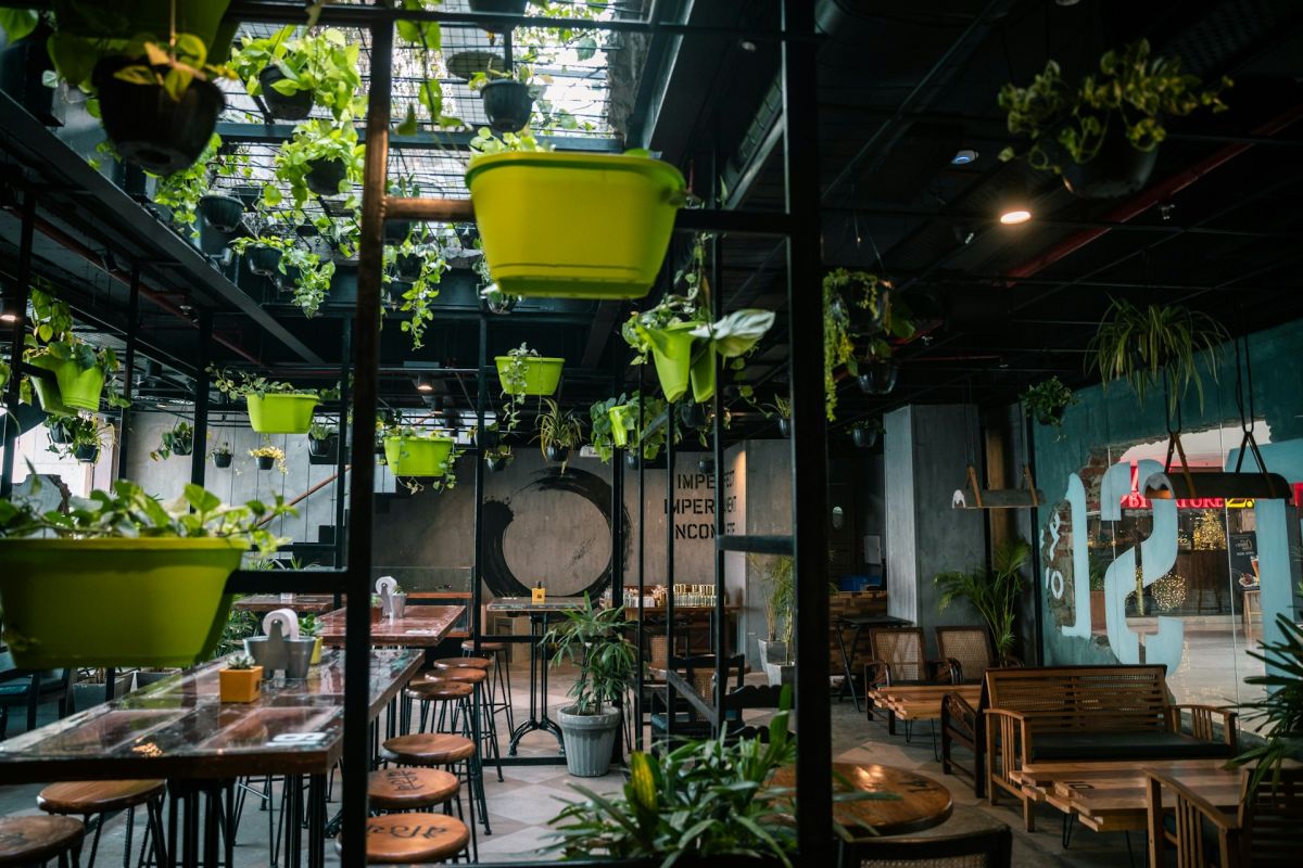 Hållbar njutning: Hur restauranger kan bli grönare