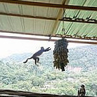 Restaurante La Calera Amazonica outside