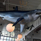 Bear Flag Fish Co-newport Peninsula food