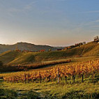 Weingut Wirtshaus Maitz Wolfgang food