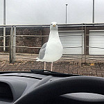 Peppos Harbour Chip outside