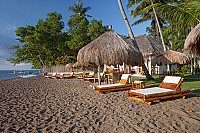 Pura Vida Beach & Dive Resort Restaurant and Bar outside