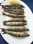 Salamandra food