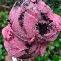 Vegan Ice Cream Man food