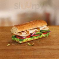 Subway Development of NW Florida food