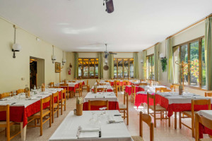 Trattoria Ganzole food