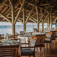 Blue Marlin food