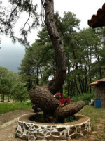 El Arbol De La Culebra outside