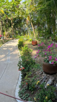 Las Adelitas de Zihuatanejo outside