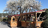 Tree House Café outside