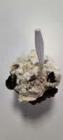 Marble Slab Creamery food