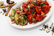 Tandoor Indian Restaurant food