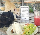 Jack's Cat Cafe food