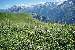 Alpen Tower Planplatten