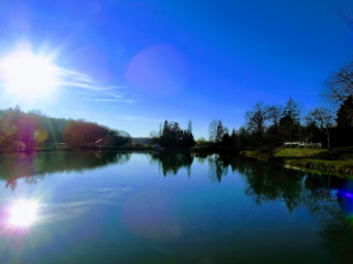 Le Moulin De L'etang