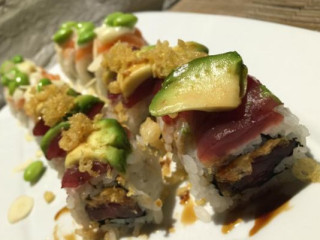 Barracuda Tropical Maki