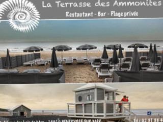 La terrasse des Ammonites