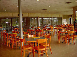 Cafeteria Squash Center Meander