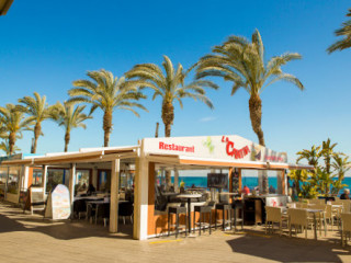 La Cantina Food Drinks Torrevieja