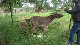 Ferme du Touron