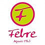 Febre