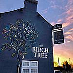 The Birch Tree