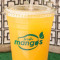 Natural Mango Juice