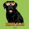 7. Dirty Dog Ipa