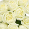 Debi Lilly Dozen White Rose Bouquet (White)