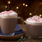 20Oz Peppermint Mocha Latte