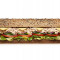 Tonfisk Och Mayo Subway Footlong Reg;