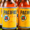 Bucket Of Pacifico (5 Öl)