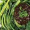 Watercress With Black Bean Sauce