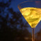 Apple Martini