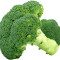 Broccoli Omelett