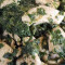 Kyckling Saag