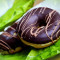 Boston Cream Donut