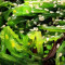 As4. Seaweed Salad