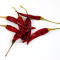 Dried red chili