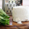 Ricotta Ricotta