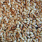 Pine Nuts Pine Nuts