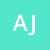 ajr166europe